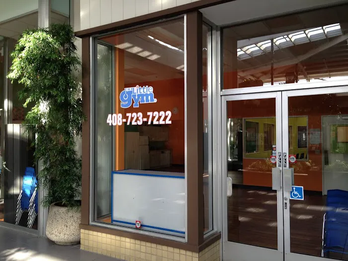 The Little Gym of San Jose (South) Picture 7