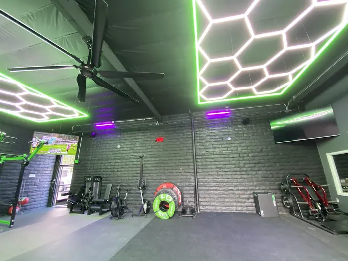 The Premise Strength + Performance Picture 10