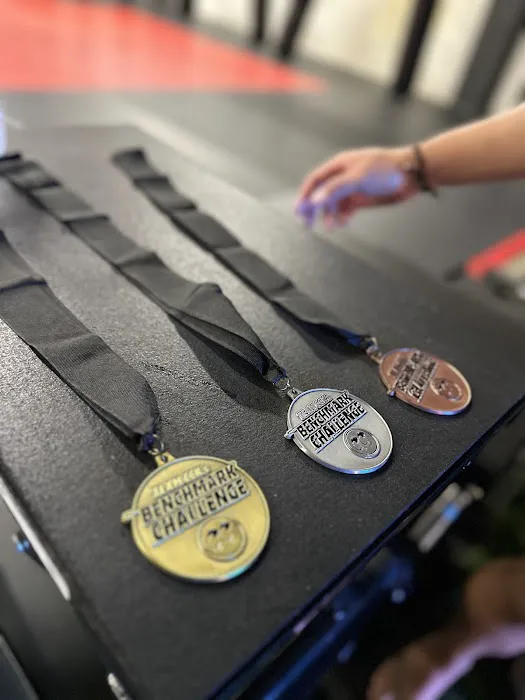 The Premise Strength + Performance Picture 7