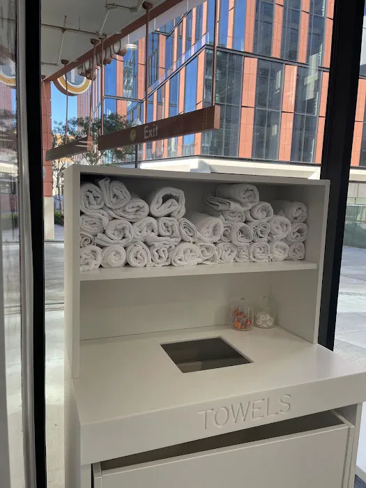 Rumble Boxing Picture 7