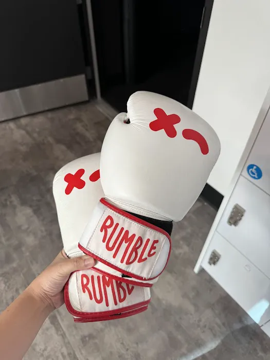 Rumble Boxing Picture 4