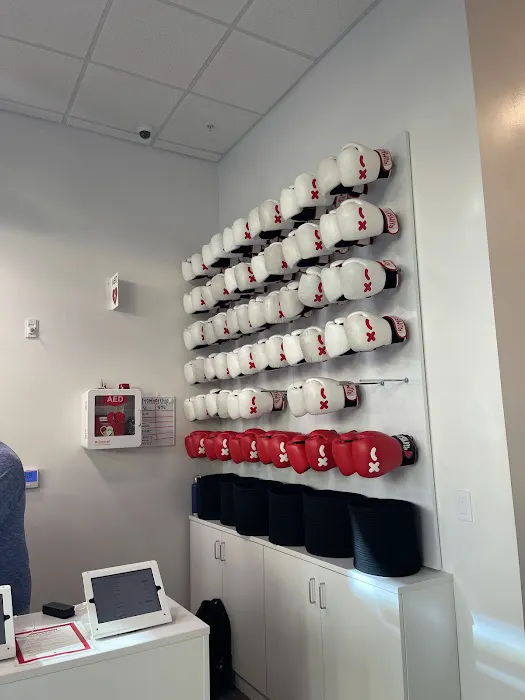 Rumble Boxing Picture 2