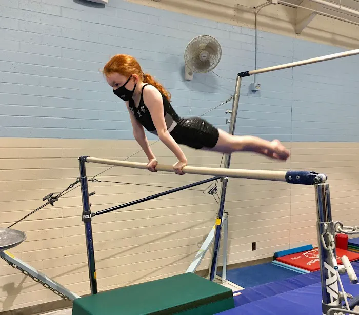 City of Sunnyvale Gymnastics operated by California Sports Center Picture 3