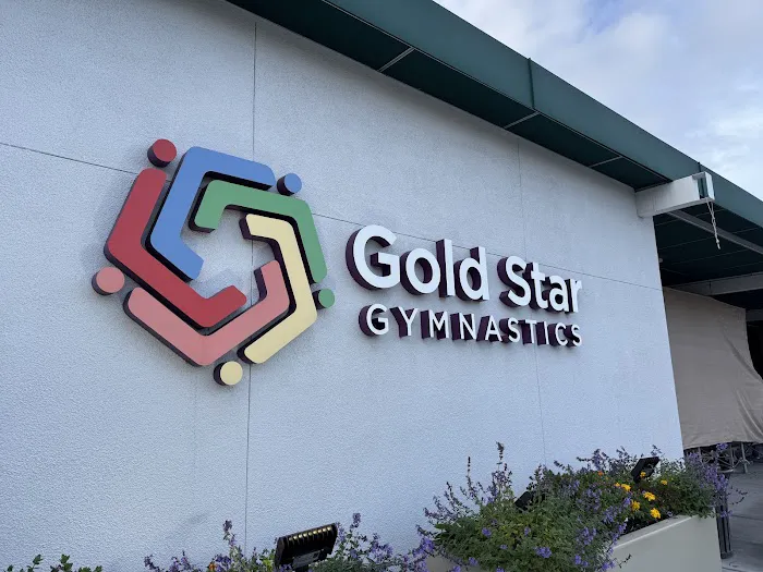 Gold Star Gymnastics Picture 5