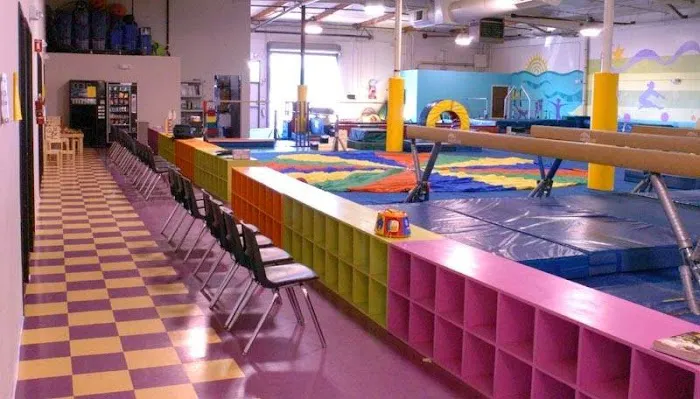 Gold Star Gymnastics Picture 2