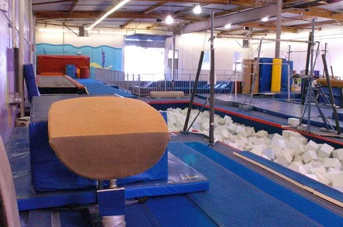Gold Star Gymnastics Picture 6