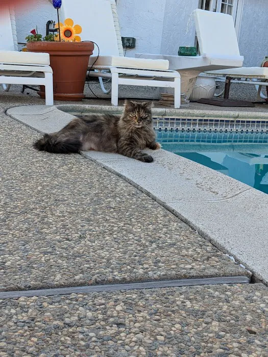 Faithfunfitness.club Picture 8