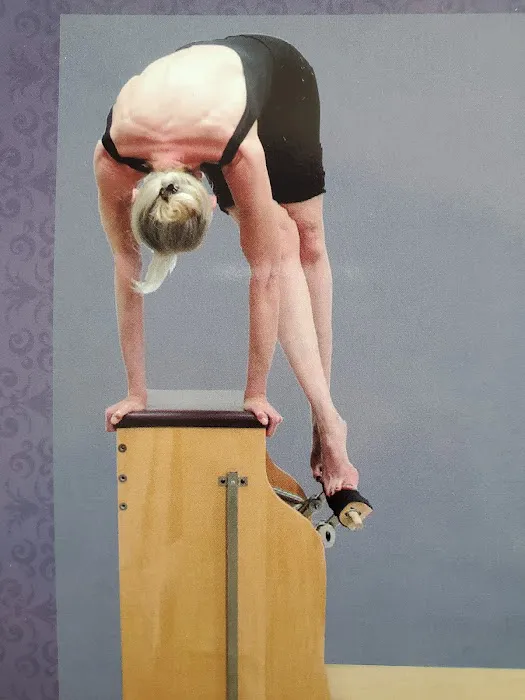 Align Pilates and Dance Conditioning Picture 3