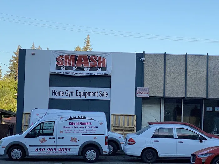 Smash Gyms Mountain View Picture 10