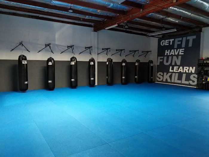 Smash Gyms Mountain View Picture 1