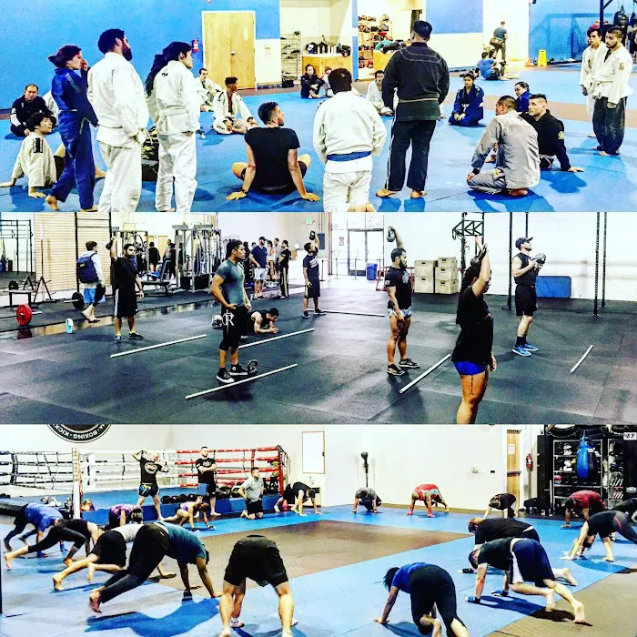 Smash Gyms Mountain View Picture 5