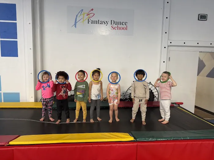 FDS Gymnastics Picture 4