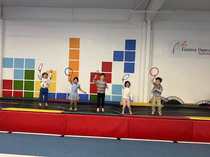 FDS Gymnastics Picture 1