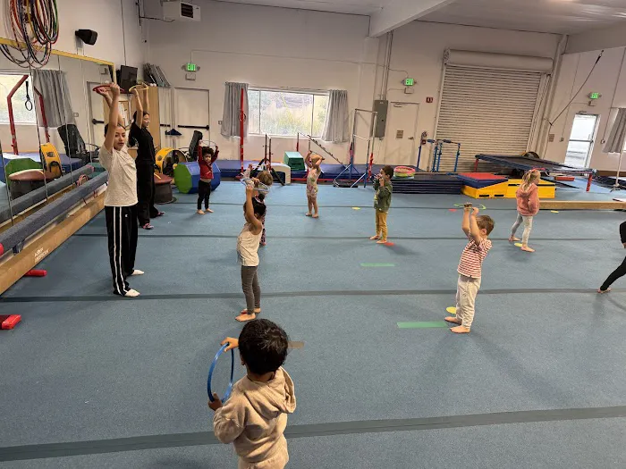 FDS Gymnastics Picture 7