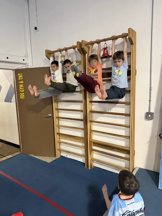 FDS Gymnastics Picture 6