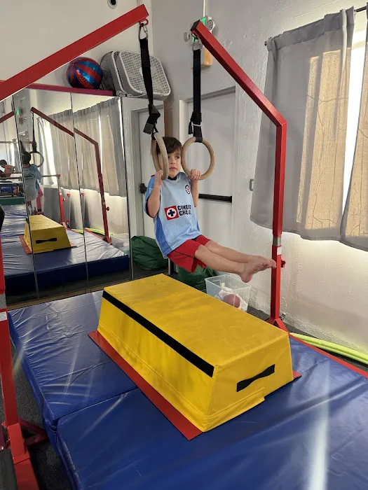 FDS Gymnastics Picture 5