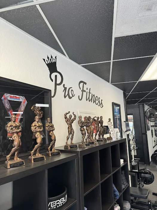 Pro Fitness Picture 2
