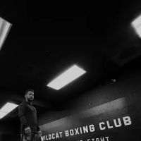 Wildcat Boxing Club ico