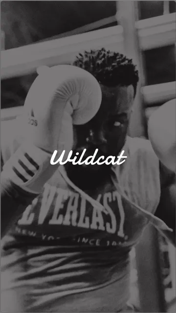 Wildcat Boxing Club Picture 2