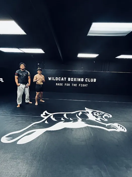 Wildcat Boxing Club Picture 7