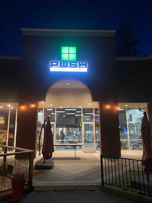 Push Dynamic Training Picture 10