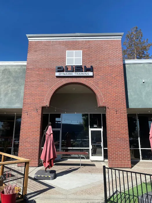 Push Dynamic Training Picture 6