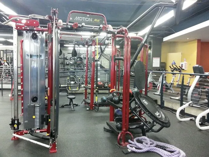 American Barbell Clubs Picture 3