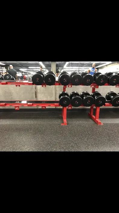 American Barbell Clubs Picture 9
