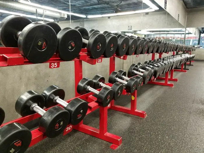 American Barbell Clubs Picture 8