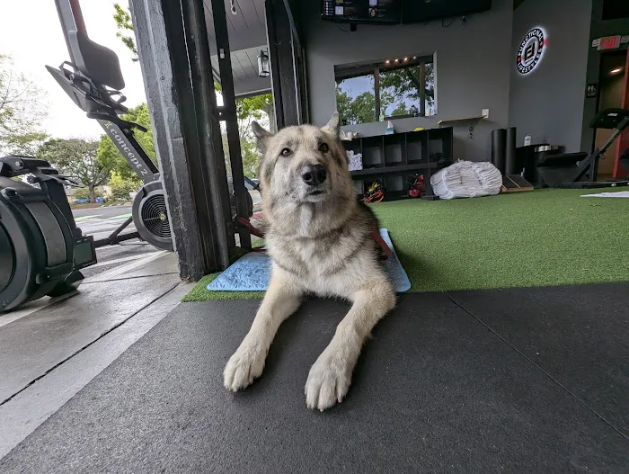 Functional Lifestyles Picture 2