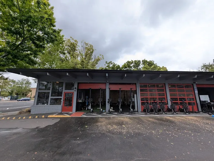 Functional Lifestyles Picture 8