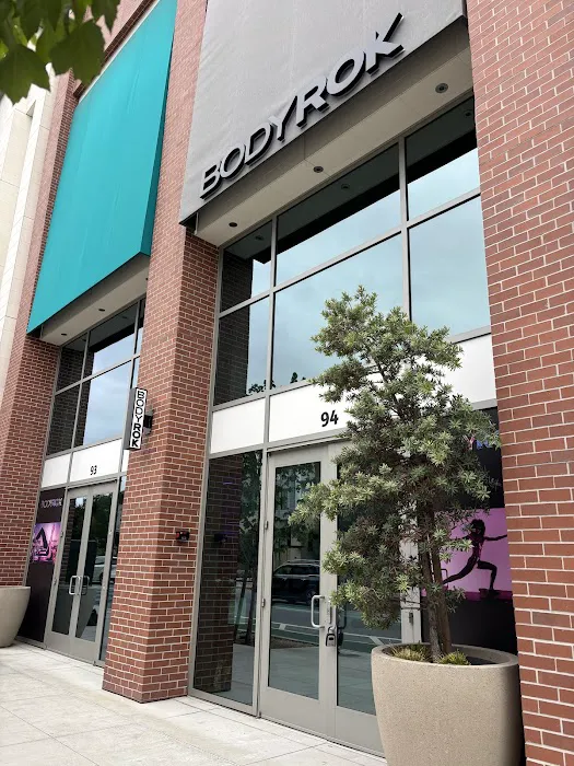 BODYROK Mountain View- Reformer Pilates Picture 10