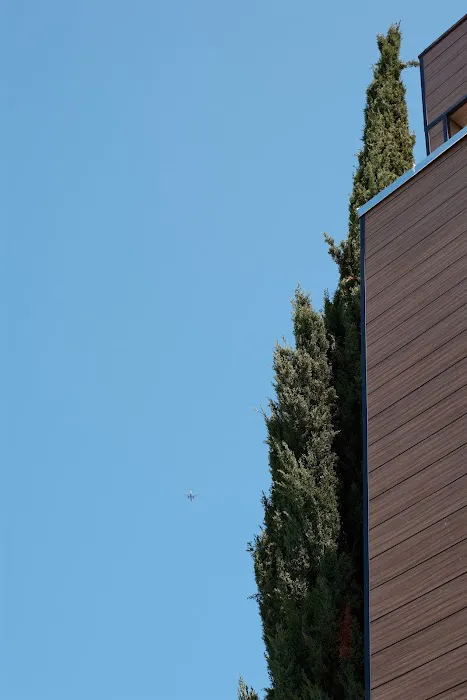 FLO PILATES Picture 8