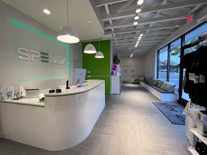 SPENGA Los Gatos Picture 3