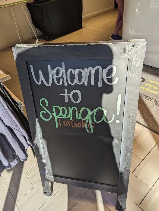 SPENGA Los Gatos Picture 8