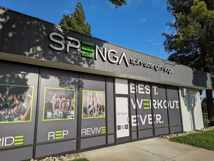 SPENGA Los Gatos Picture 10