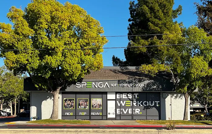 SPENGA Los Gatos Picture 4