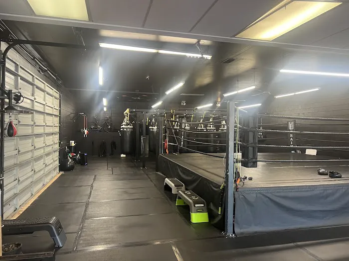 Los Gatos Boxing Picture 4