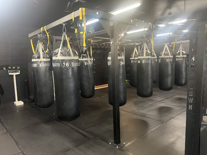 Los Gatos Boxing Picture 3