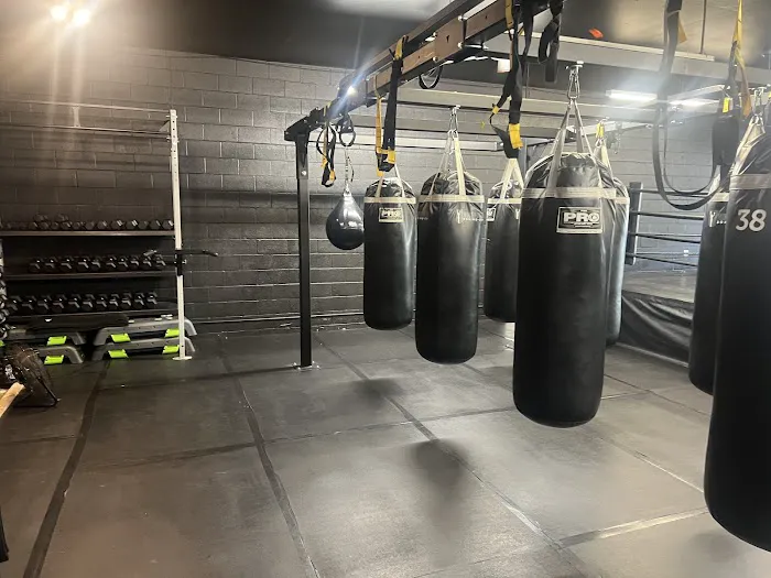 Los Gatos Boxing Picture 2