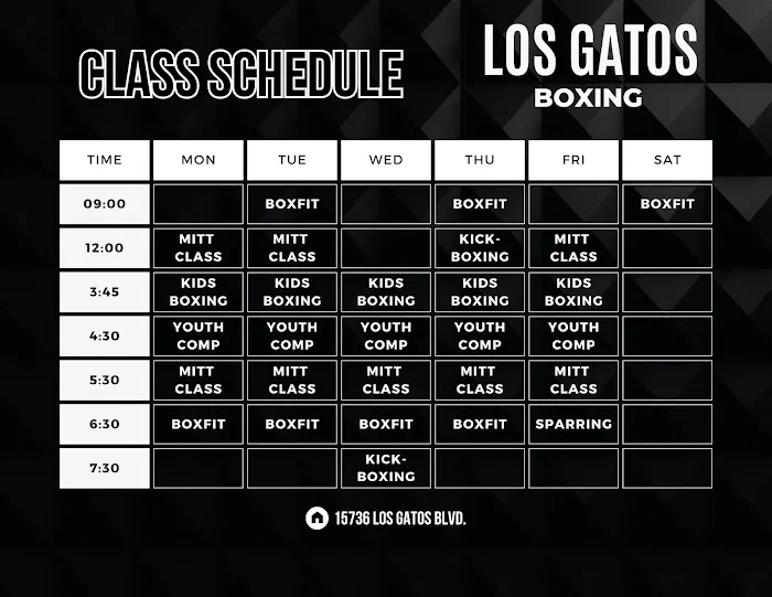 Los Gatos Boxing Picture 1