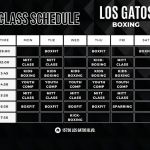 Los Gatos Boxing