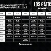 Los Gatos Boxing ico