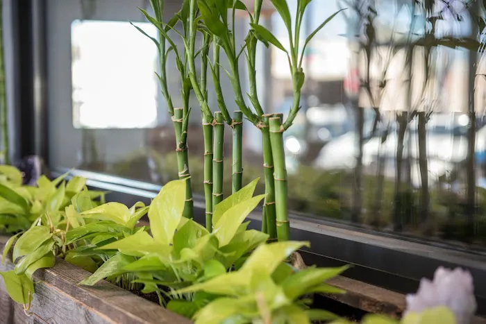 Bikram Yoga San Jose Picture 1