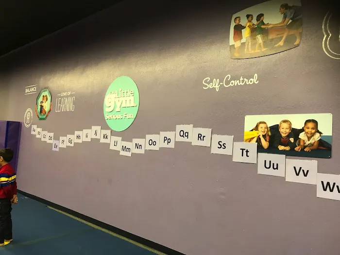 The Little Gym of Stevens Creek Picture 7