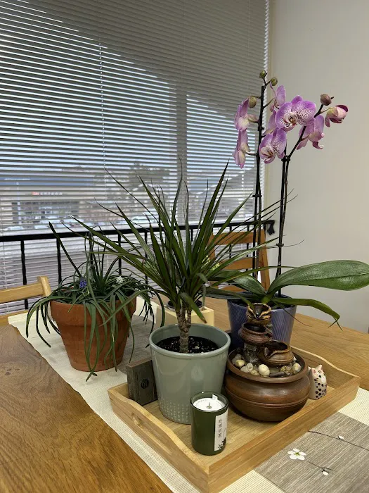 Peace Yoga Picture 3