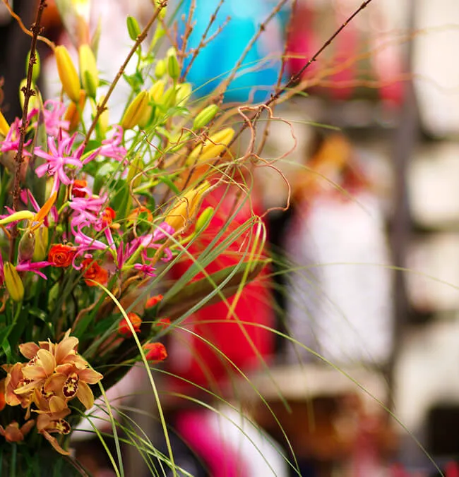 YogaSource Los Gatos Picture 5