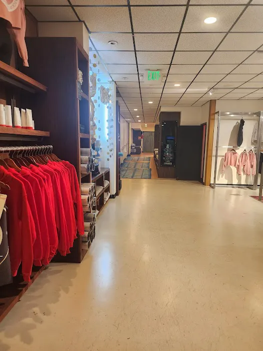 YogaSource Los Gatos Picture 2