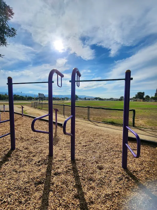 Outdoor Fitness Area Picture 1