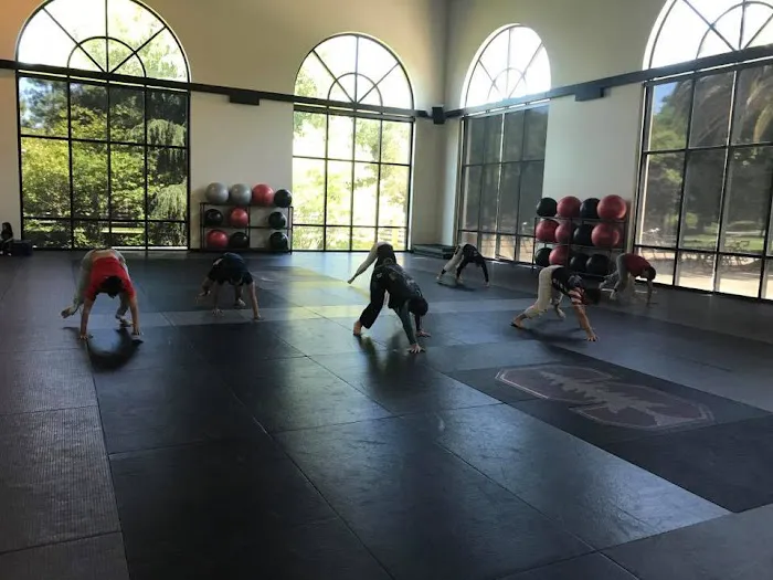 Stanford Brazilian Jiu-Jitsu and Grappling Club Picture 9